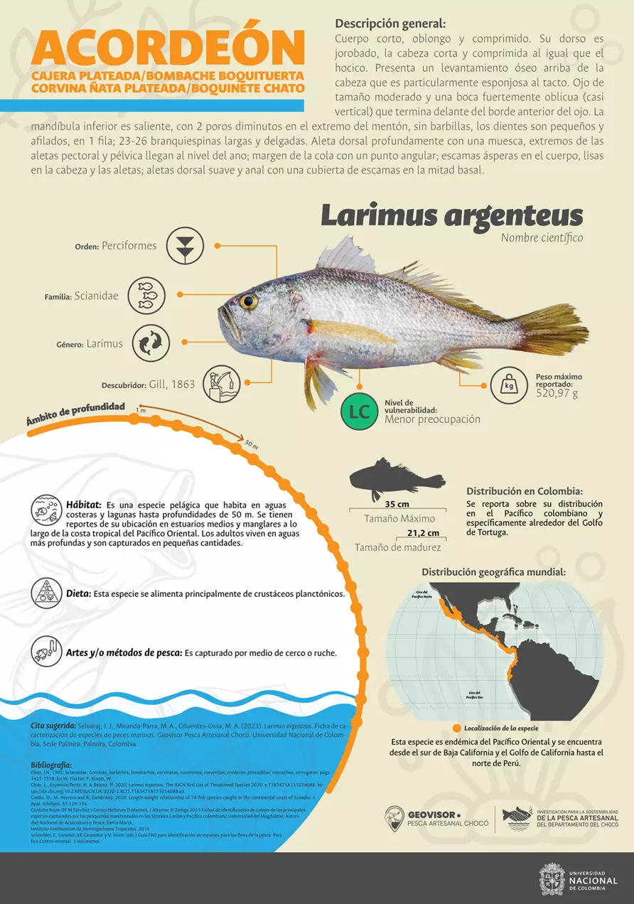 larimus_argenteus